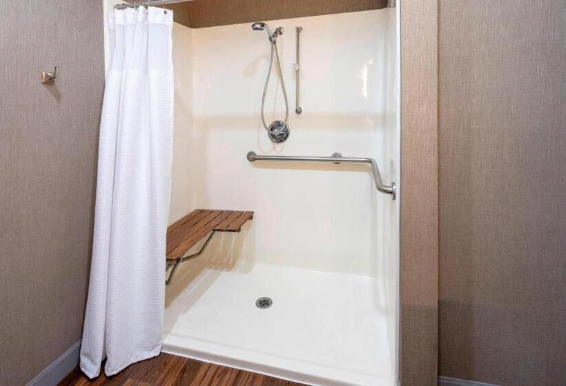 스탠다드 스튜디오, Springhill Suites Rochester Mayo Clinic Area/saint Marys