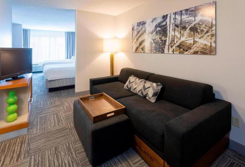 스탠다드 스튜디오, Springhill Suites Rochester Mayo Clinic Area/saint Marys