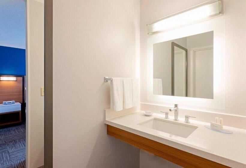 Студио Стандарт Кровать Кинг, Springhill Suites Rochester Mayo Clinic Area/saint Marys