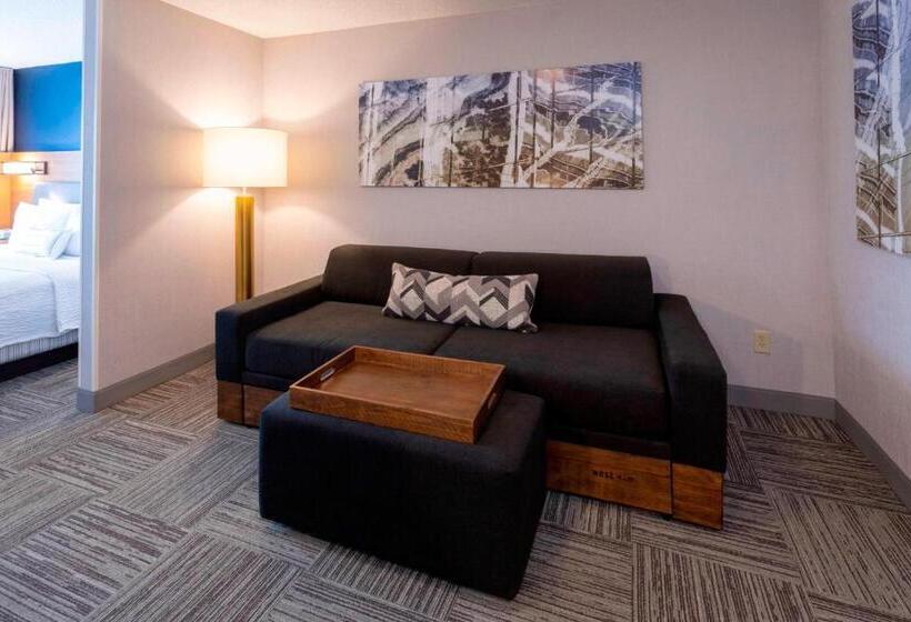 스탠다드 스튜디오 킹침대, Springhill Suites Rochester Mayo Clinic Area/saint Marys