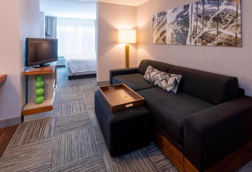 Студио Стандарт Кровать Кинг, Springhill Suites Rochester Mayo Clinic Area/saint Marys