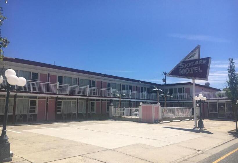 חדר סטנדרט, Skylark Resort Motel