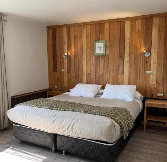 اتاق استاندارد با چشم‌انداز کوهستان, B&b Y Cabañas Cerro Castillo