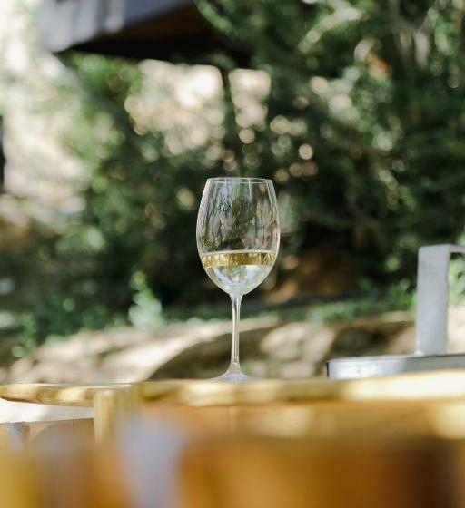 Номер Стандарт, Milodge Elqui Domos