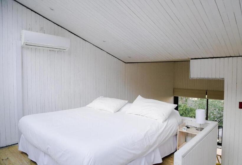 Номер Стандарт, Milodge Elqui Domos