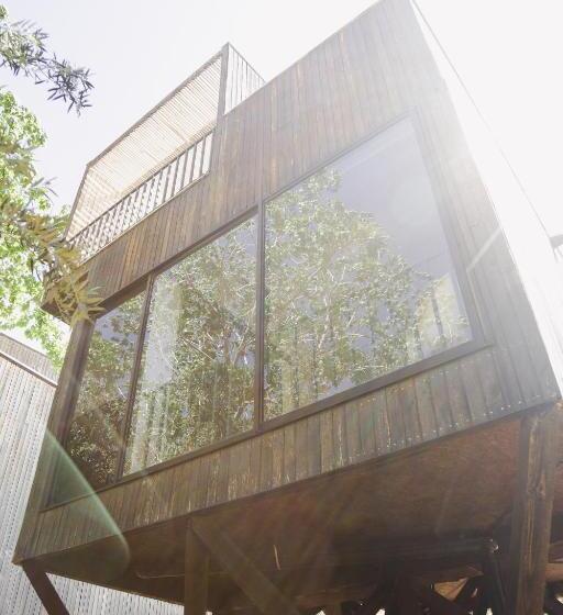 Номер Стандарт, Milodge Elqui Domos