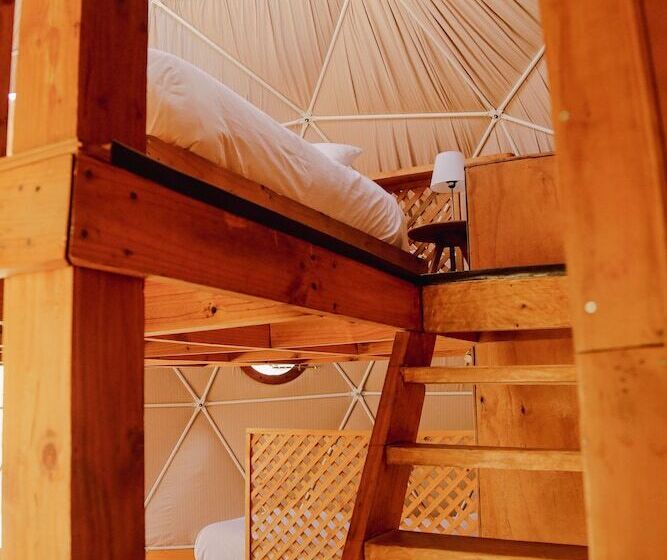 Номер Стандарт, Milodge Elqui Domos