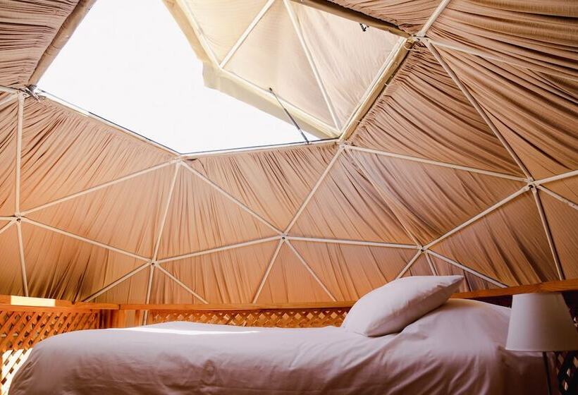 Номер Стандарт, Milodge Elqui Domos