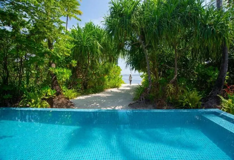 ویلای 1 خوابه, The Residence Maldives At Dhigurah