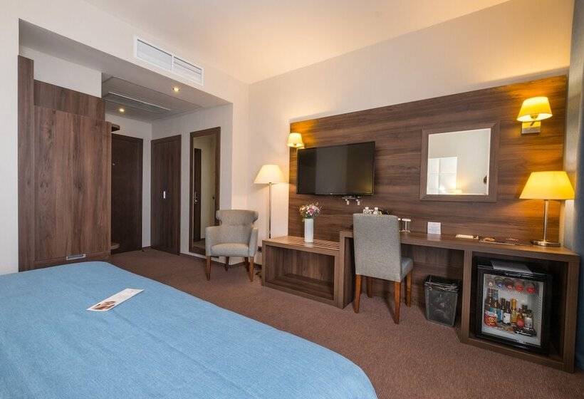 اتاق سوپریور با چشمانداز رودخانه, Tom River Plaza