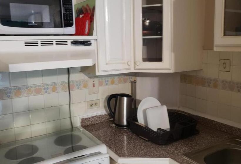 آپارتمان 1 خوابه, Rosi Ocean Sand Hotel Apt