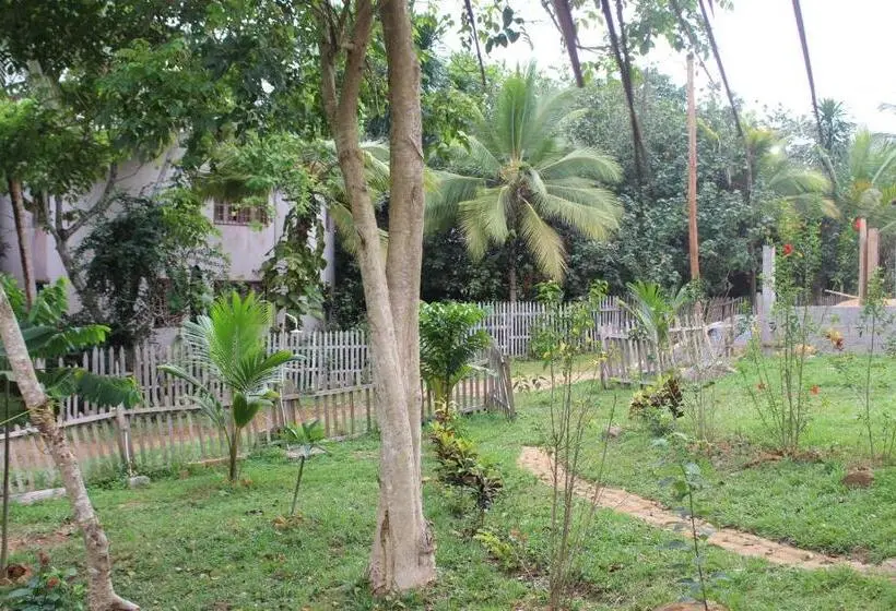 اتاق خانوادگی, Pousada Cameroun