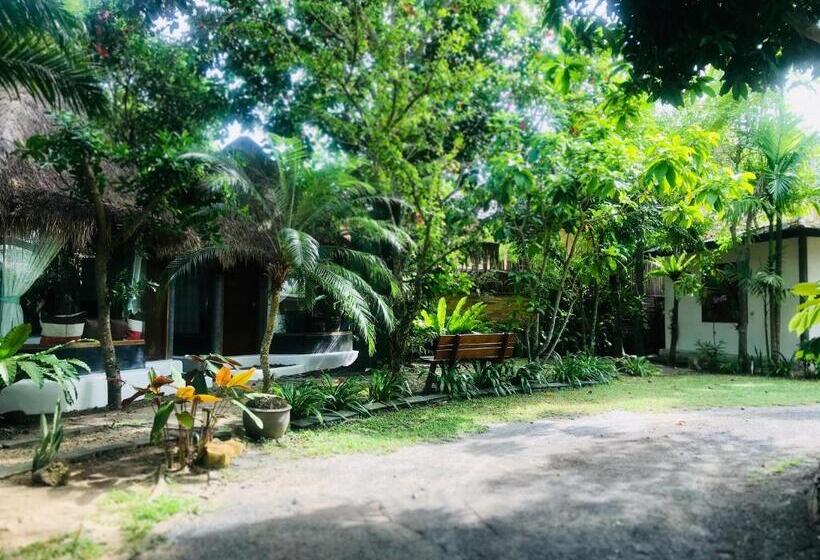 디럭스 방갈로, Cafe @luv22