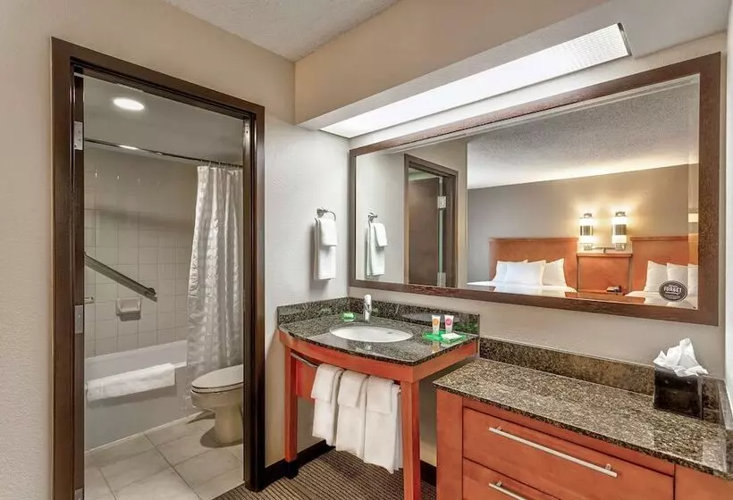 Standard-huone 2 Parivuodetta, Hyatt Place Kansas City/overland Park/convention Center