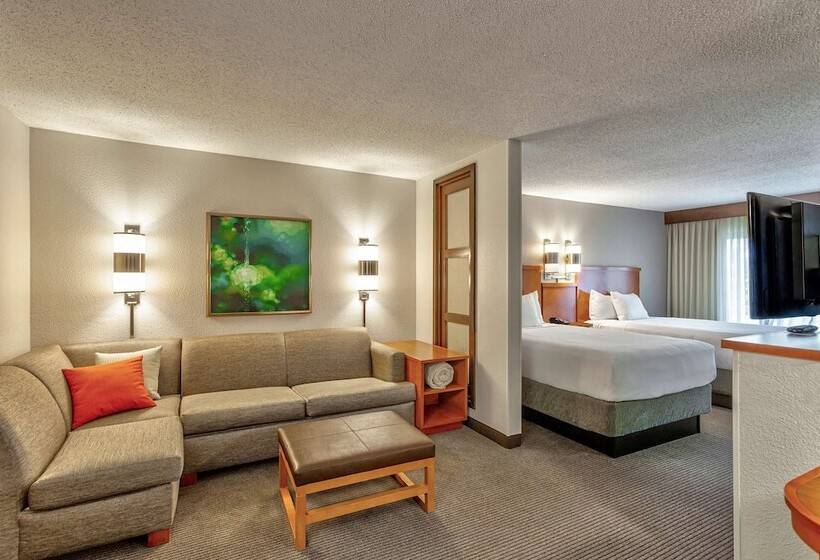 Номер Стандарт 2 Двуспальные Кровати, Hyatt Place Kansas City/overland Park/convention Center