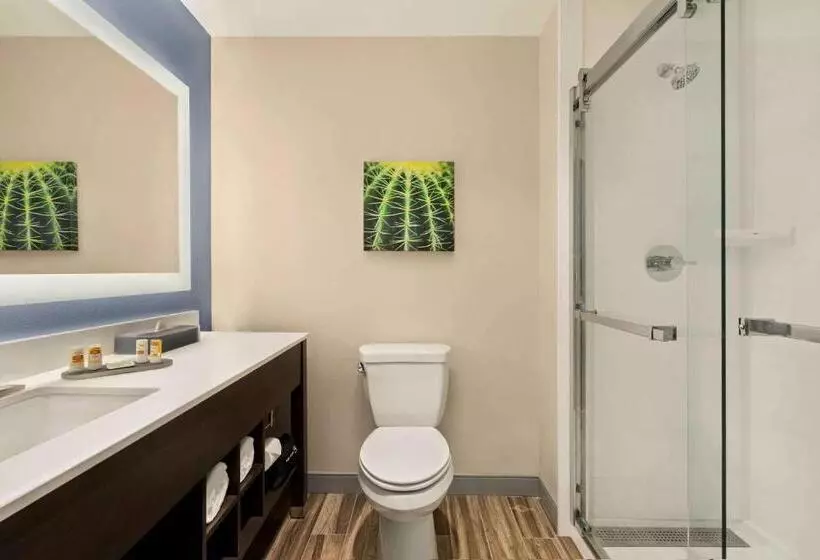 اتاق استاندارد با تخت بزرگ, Laquinta Inn & Suites By Wyndham San Bernardino