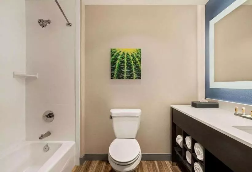 اتاق استاندارد, Laquinta Inn & Suites By Wyndham San Bernardino
