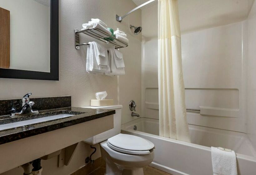 스탠다드 룸 더블 침대 2개, Quality Inn & Suites Warren