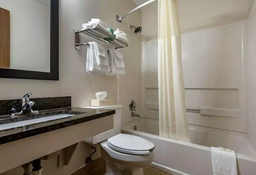 ２ダブルベッドのスタンダードルーム, Quality Inn & Suites Warren