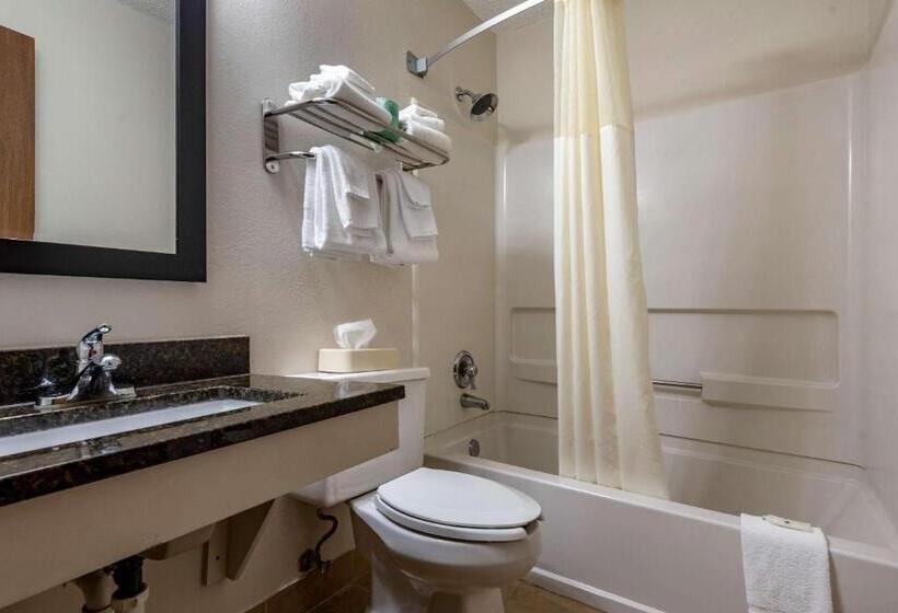 스탠다드 룸 더블 침대 2개, Quality Inn & Suites Warren