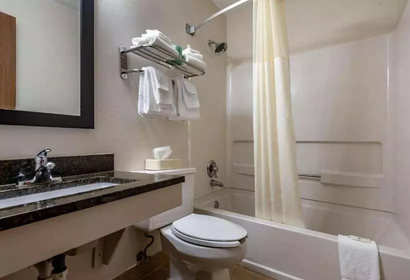 ２ダブルベッドのスタンダードルーム, Quality Inn & Suites Warren