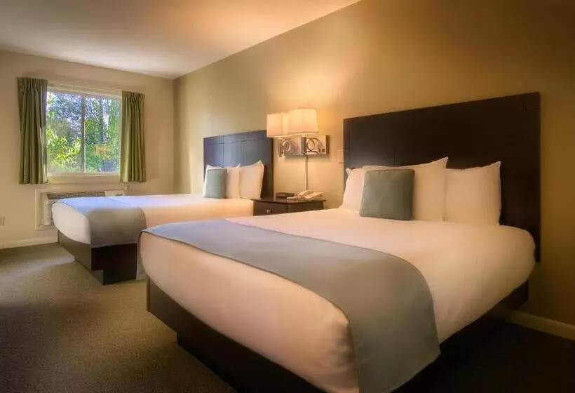 スーペリアールーム, Sun & Ski Inn And Suites