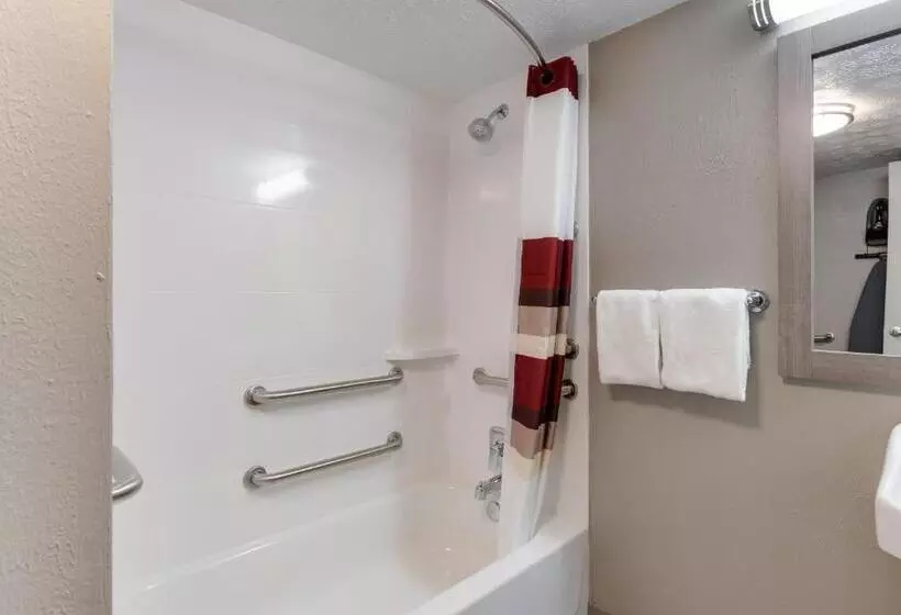 身障者適用キングサイズベッドルーム, Red Roof Inn Dayton  Moraine/u Of Dayton