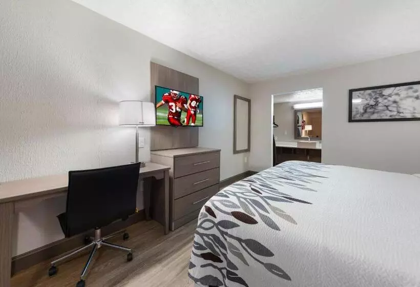 キングサイズベッドのスタンダードルーム, Red Roof Inn Dayton  Moraine/u Of Dayton