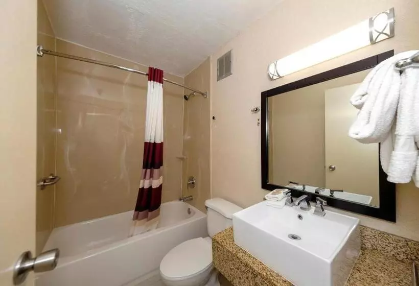 デラックスルーム, Red Roof Inn Jacksonville  Cruise Port
