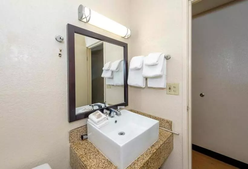 キングサイズベッドのスタンダードルーム, Red Roof Inn Jacksonville  Cruise Port