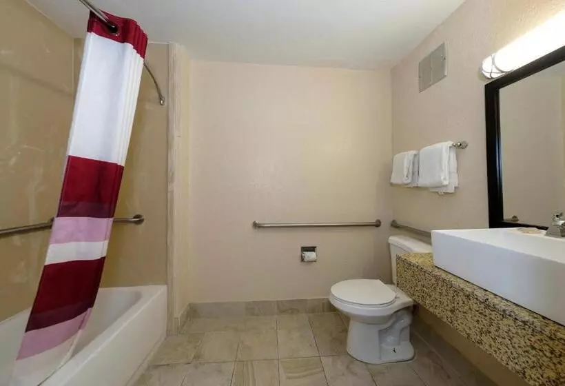 身障者適用キングサイズベッドルーム, Red Roof Inn Jacksonville  Cruise Port