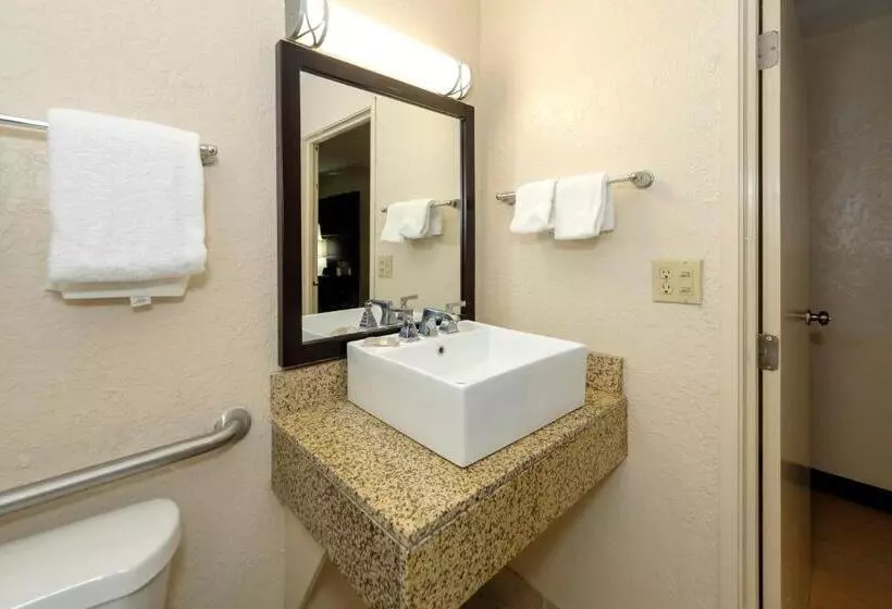 身障者適用キングサイズベッドルーム, Red Roof Inn Jacksonville  Cruise Port