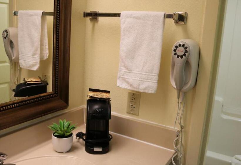 身障者適用キングサイズベッドルーム, Super 8 By Wyndham Dublin