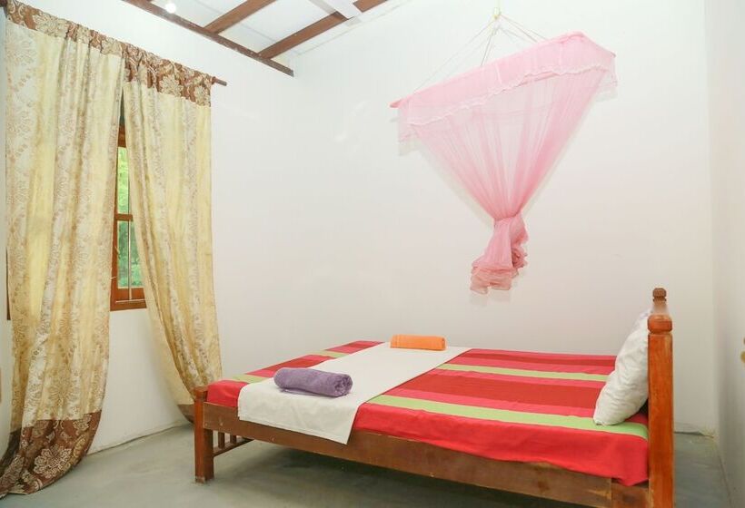 이코노미 룸, Gami Sewana