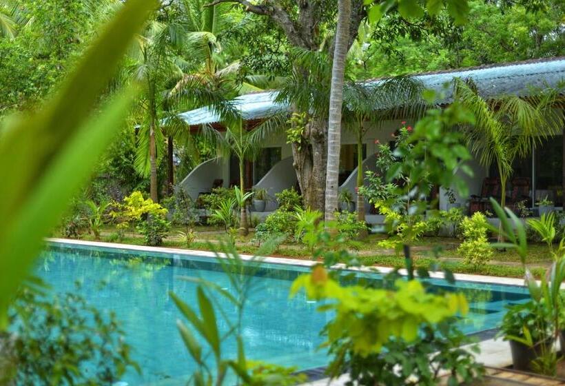 스탠다드 룸 킹사이즈 침대, La Dolce Vita