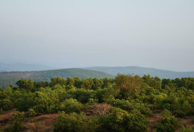 Номер Deluxe, Viraz Valley
