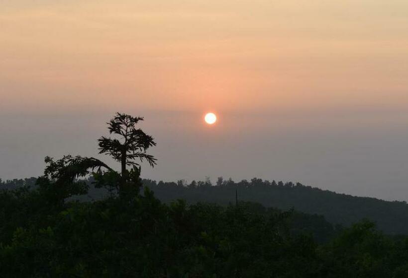 豪华房间, Viraz Valley