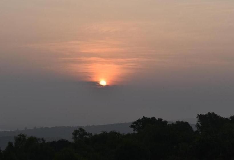 豪华房间, Viraz Valley