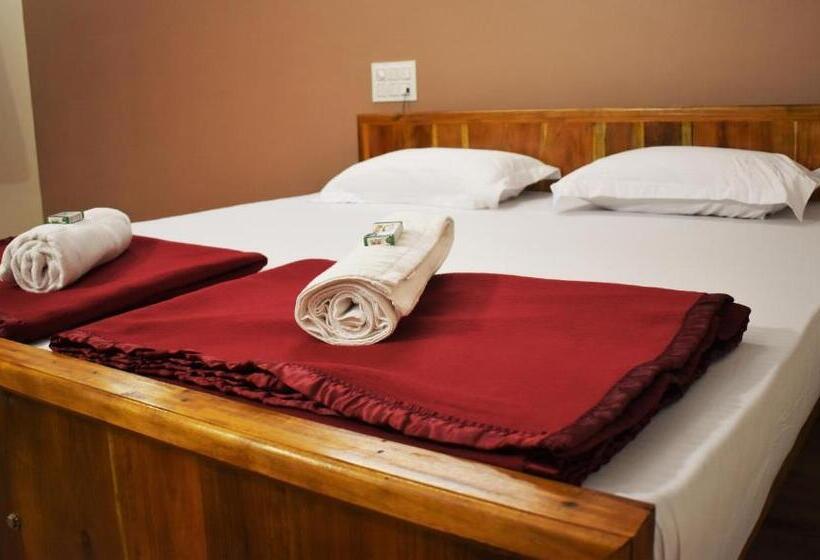 高级大房间, Viraz Valley