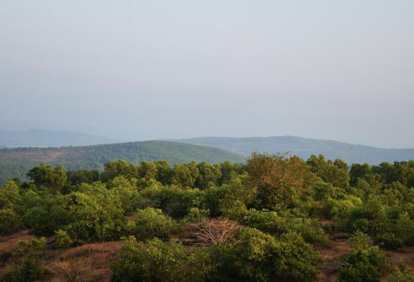 Номер Superior, Viraz Valley