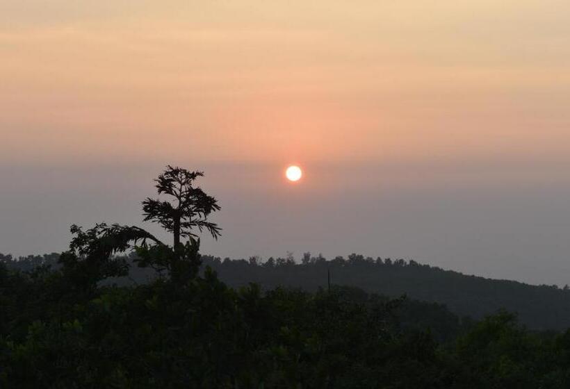 高级大房间, Viraz Valley