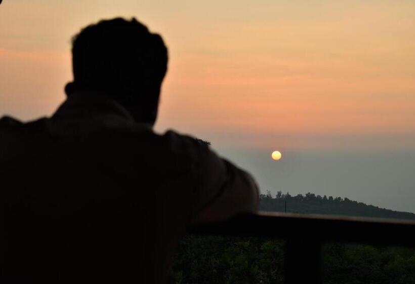 高级大房间, Viraz Valley