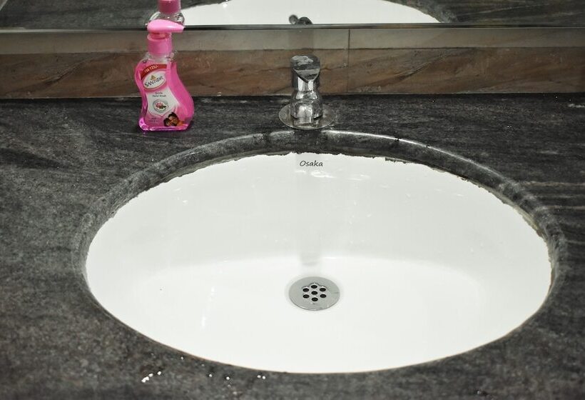 高级大房间, Viraz Valley