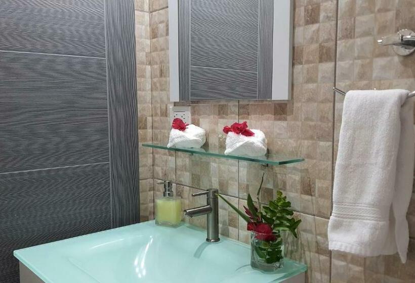 豪华工作室, Villa Alejandro