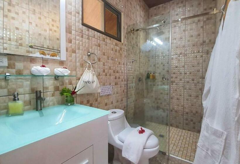 豪华工作室, Villa Alejandro