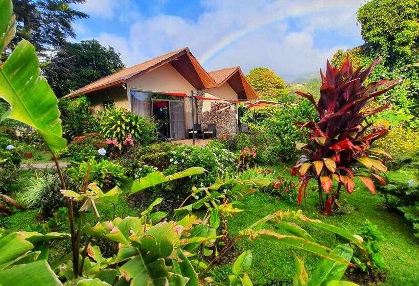 豪华工作室, Villa Alejandro