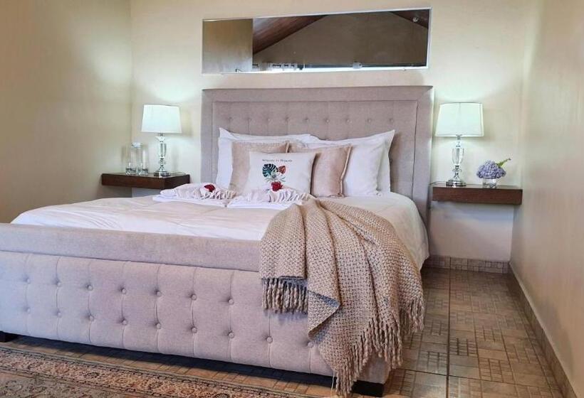 豪华工作室, Villa Alejandro