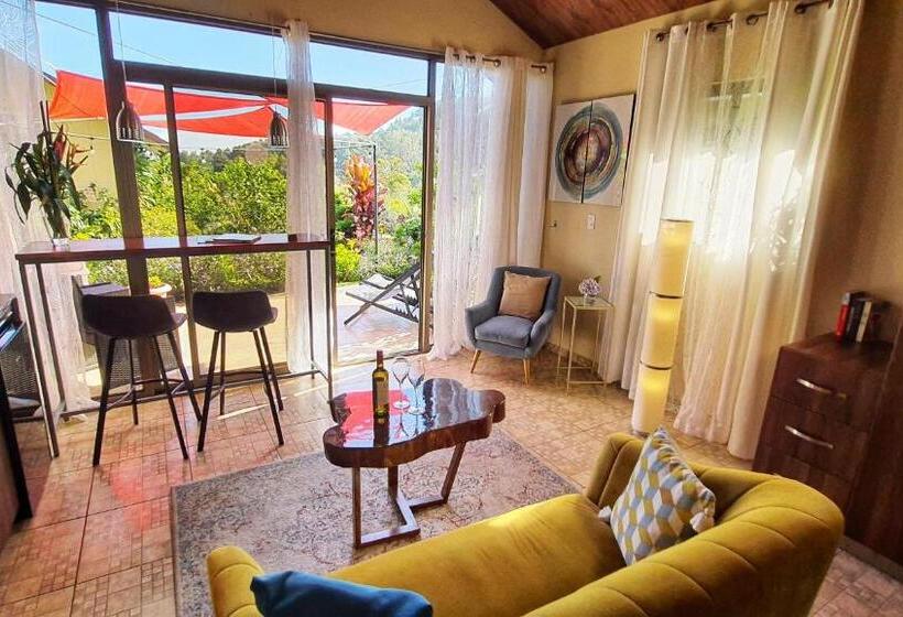 豪华工作室, Villa Alejandro