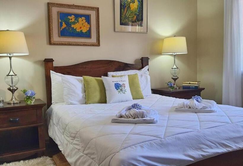 家庭间, Villa Alejandro