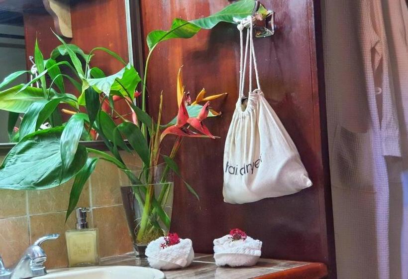 带大床的豪华间, Villa Alejandro